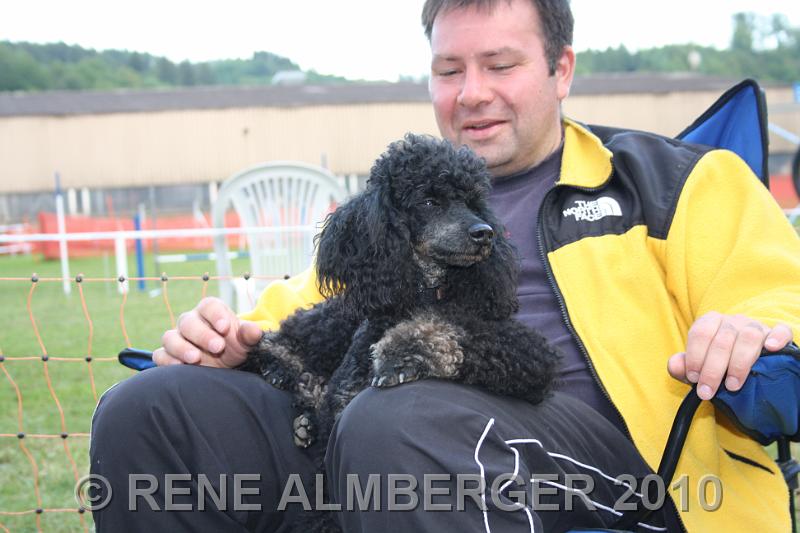 Bild 604.jpg